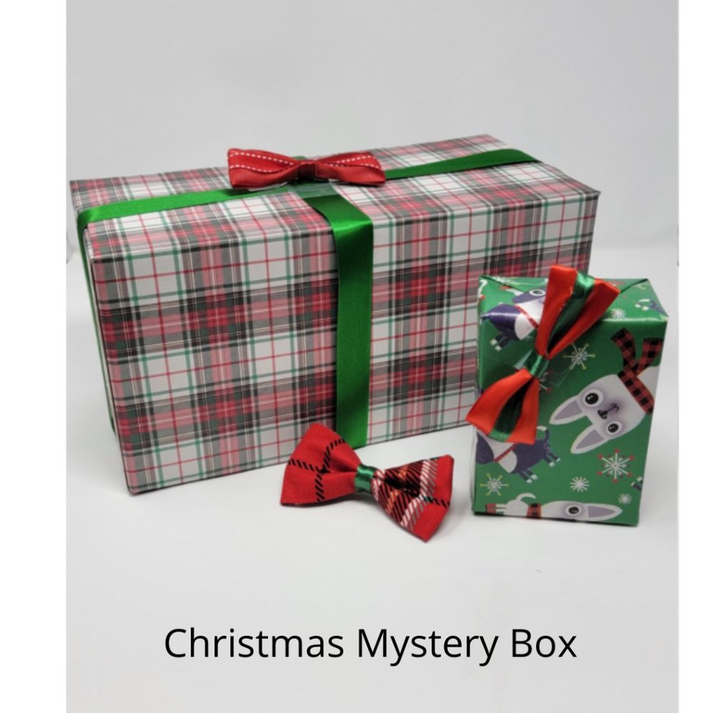 Most Awesome Christmas Mystery Box Ever!
